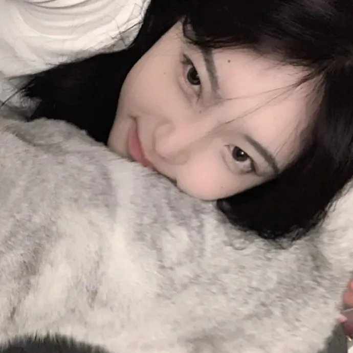 苦茶香